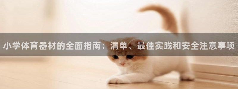 耀世微光mp3下载：小学体育器材的全面指南：清单、最