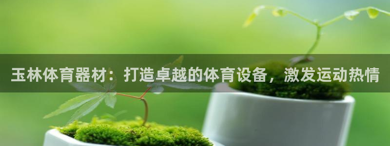 耀世平台负责人怎么样：玉林体育器材：打造卓越的体育设