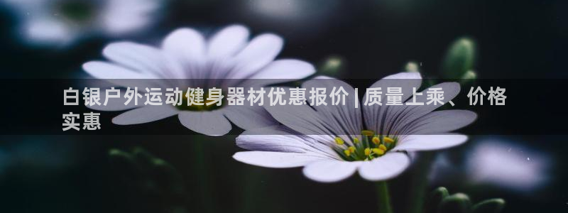 耀世集团王大聪图片：白银户外运动健身器材优惠报价 |