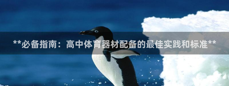 耀世盛典手游下载官网：**必备指南：高中体育器材配备