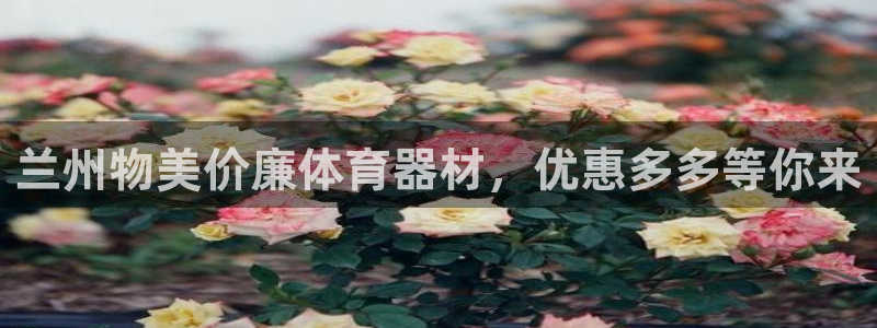 耀世平台注册登录不上怎么回事：兰州物美价廉体育器材，
