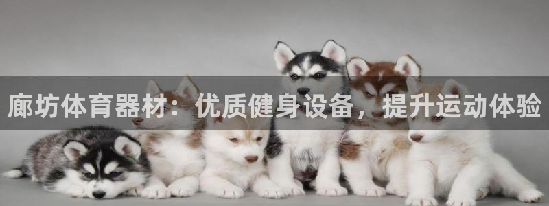 耀世国际平台正规吗可靠吗安全吗：廊坊体育器材：优质健