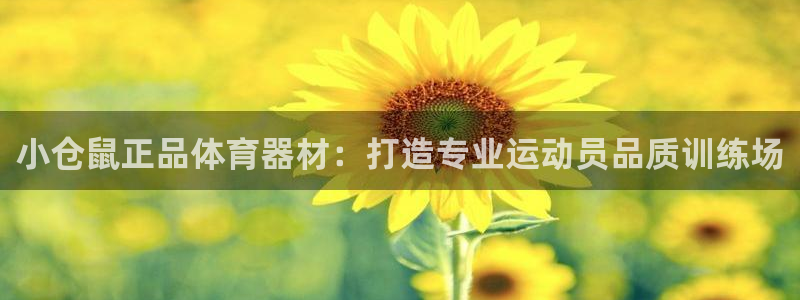 耀世平台负责人是谁：小仓鼠正品体育器材：打造专业运动