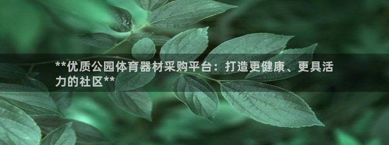 耀世集团是什么电影：**优质公园体育器材采购平台：打