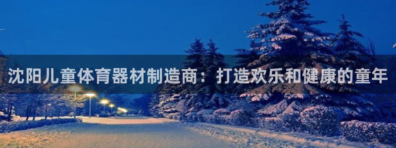 耀世娱乐的4.9.4.0.3 天乐：沈阳儿童体育器材