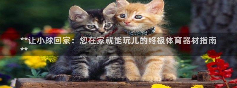 耀世娱乐下载最新版本安装包大全：**让小球回家：您在