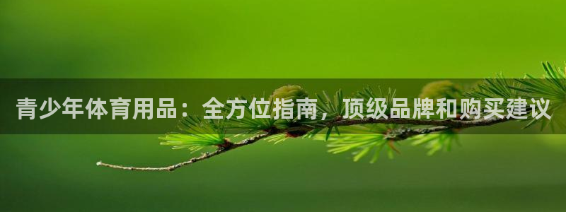 耀世的意思是什么：青少年体育用品：全方位指南，顶级品