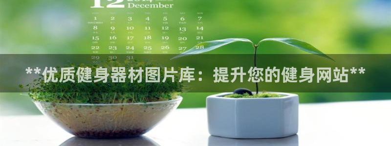 耀世平台注册登录不上怎么办：**优质健身器材图片库：