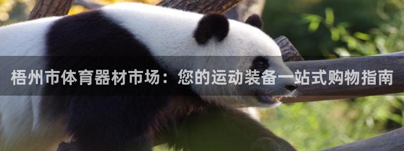 耀世盛典官网入口：梧州市体育器材市场：您的运动装备一