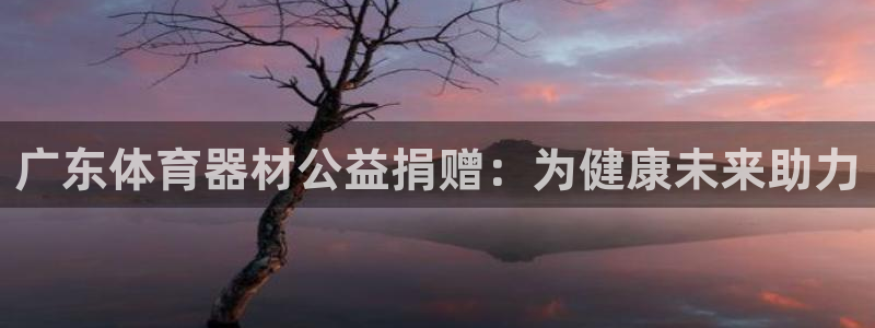 耀世娱乐脚本下载安装：广东体育器材公益捐赠：为健康未