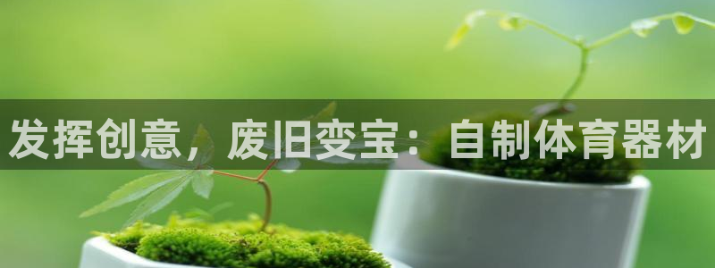 耀世平台注册链接失败：发挥创意，废旧变宝：自制体育器