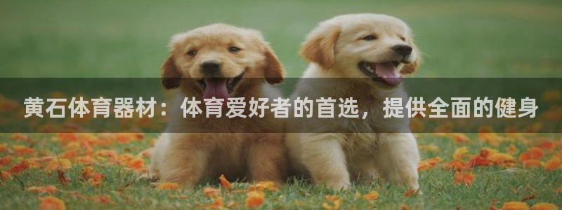 耀世平台官方网站：黄石体育器材：体育爱好者的首选，提