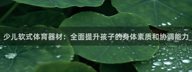 耀世娱乐脚本不死挂机：少儿软式体育器材：全面提升孩子