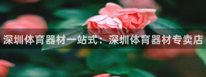耀世娱乐注册等7O777：深圳体育器材一站式：深圳体