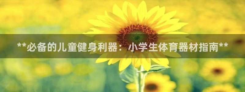 耀世娱乐提款：**必备的儿童健身利器：小学生体育器材