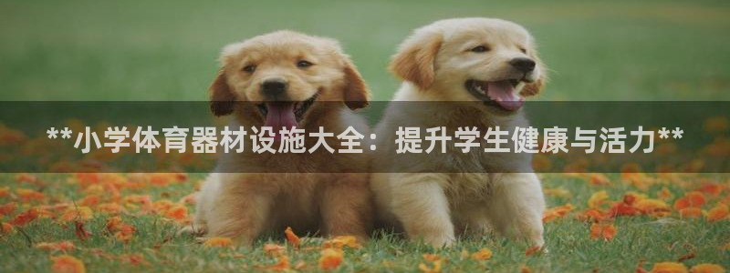 耀世国际平台正规吗安全吗：**小学体育器材设施大全：