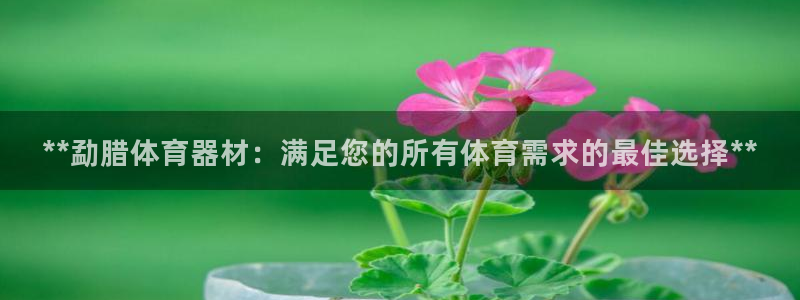 耀世娱乐家 411O31 耀世：**勐腊体育器材：满