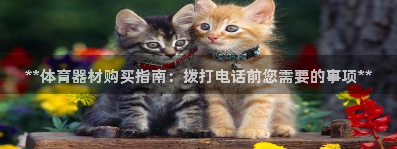 耀世娱乐app下载安装苹果：**体育器材购买指南：拨