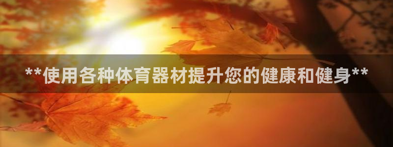 耀世平台代理多少钱：**使用各种体育器材提升您的健康