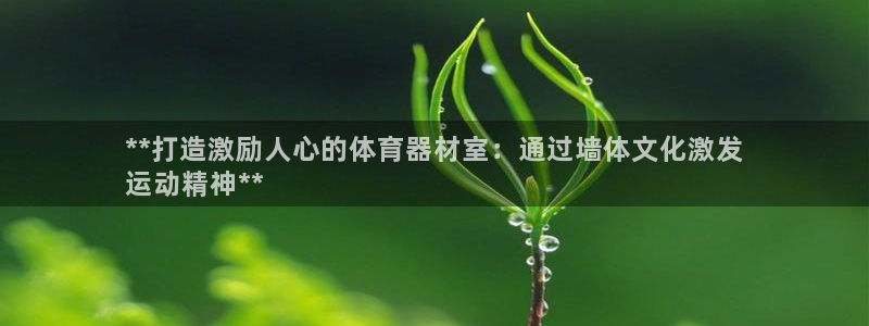 耀世平台无7O777：**打造激励人心的体育器材室：