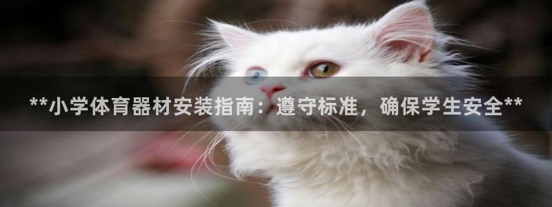 耀世娱乐能提现吗现在怎么样：**小学体育器材安装指南
