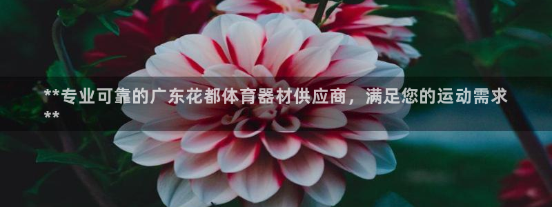 耀世娱乐挂机事件详情：**专业可靠的广东花都体育器材