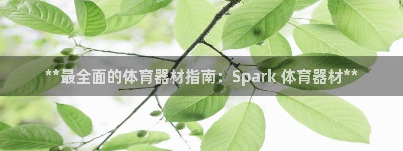 耀世意思：**最全面的体育器材指南：Spark 体育