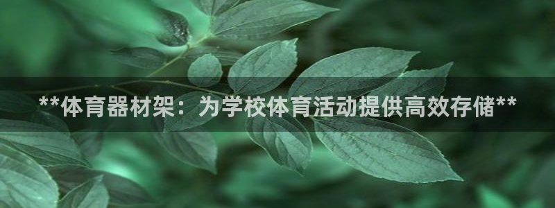 耀世娱乐能不能提现：**体育器材架：为学校体育活动提