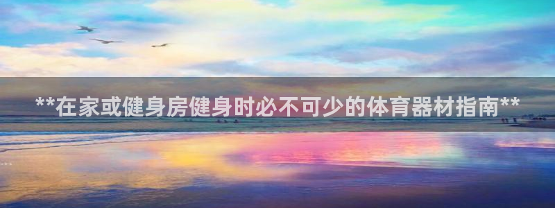耀世娱乐脚本不死挂机：**在家或健身房健身时必不可少的体育器