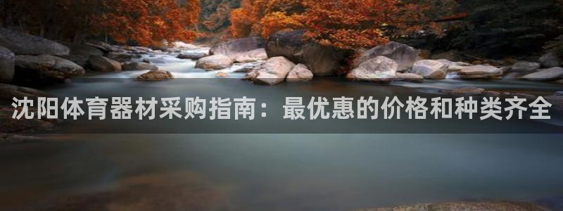 耀世集团是什么电影里的人物：沈阳体育器材采购指南：最