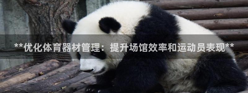 耀世平台最新注册地址：**优化体育器材管理：提升场馆效率和运