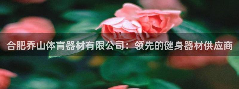 耀世天下图片头像：合肥乔山体育器材有限公司：领先的健
