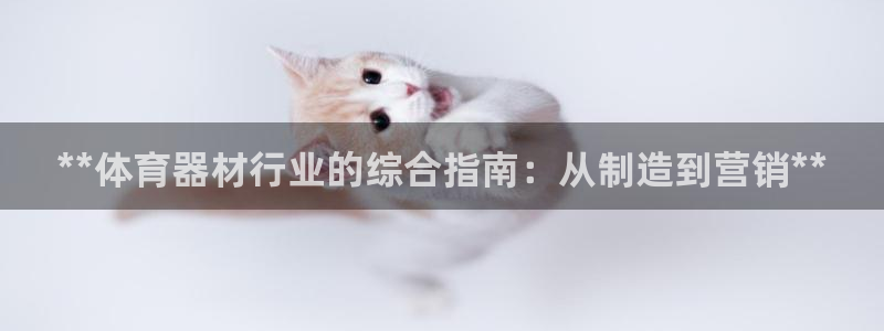 耀世娱乐在线登录官网入口手机版：**体育器材行业的综
