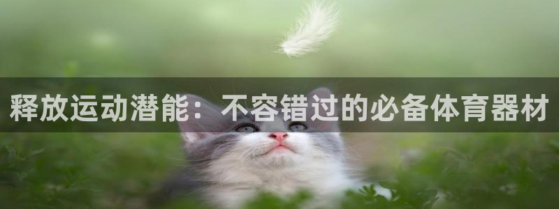 耀世启航什么意思：释放运动潜能：不容错过的必备体育器材