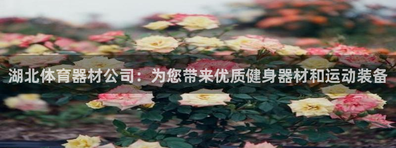 耀世娱乐辅助软件下载安卓：湖北体育器材公司：为您带来