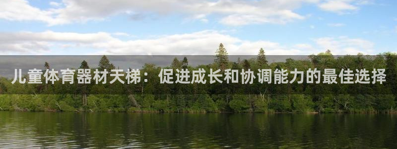 耀世集团耀哥：儿童体育器材天梯：促进成长和协调能力的最佳选择