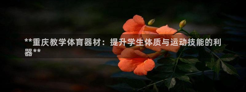 耀世娱乐平台官网登录入口：**重庆教学体育器材：提升