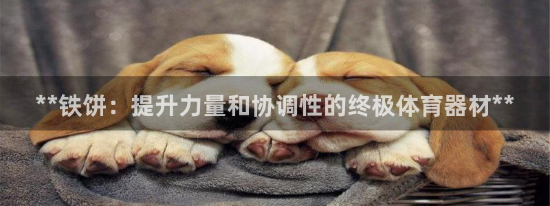 耀世平台注册流程视频：**铁饼：提升力量和协调性的终