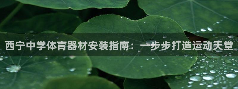 耀世登场后面一句：西宁中学体育器材安装指南：一步步打
