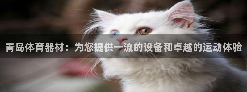 耀世娱乐登录遍333OO：青岛体育器材：为您提供一流