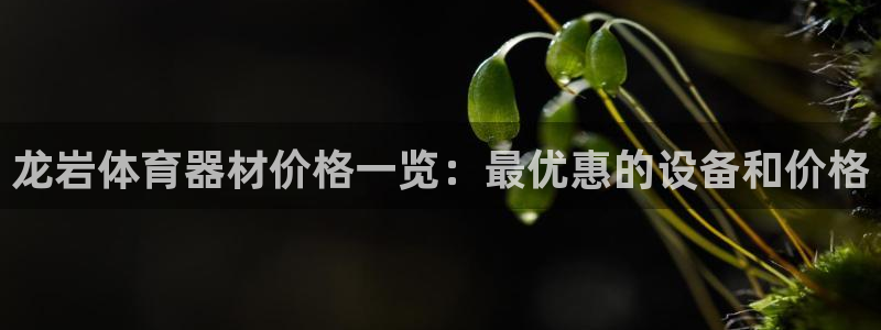 耀世盛启什么意思