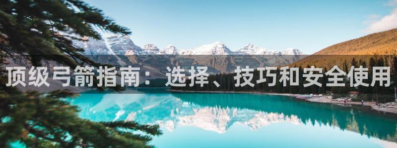 耀世平台代理怎么样啊：顶级弓箭指南：选择、技巧和安全