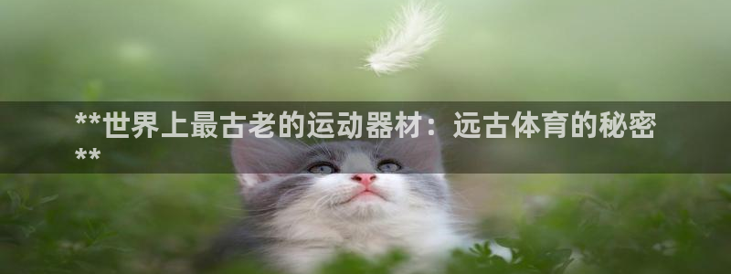 耀世平台注册网址是多少：**世界上最古老的运动器材：