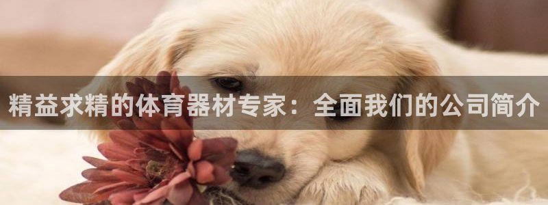 耀世是什么游戏：精益求精的体育器材专家：全面我们的公