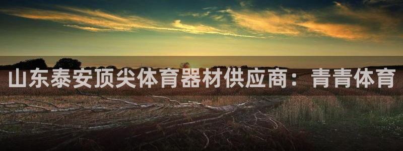 耀世娱乐黑钱吗：山东泰安顶尖体育器材供应商：青青体育