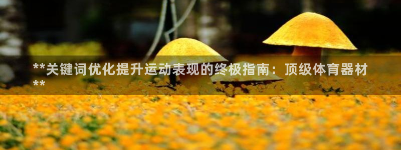 耀世娱乐圈主管：**关键词优化提升运动表现的终极指南