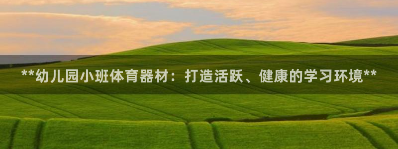 耀世登场的近义词：**幼儿园小班体育器材：打造活跃、健康的学