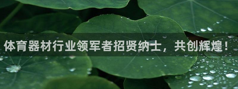 耀世平台升 411O31 耀世：体育器材行业领军者招