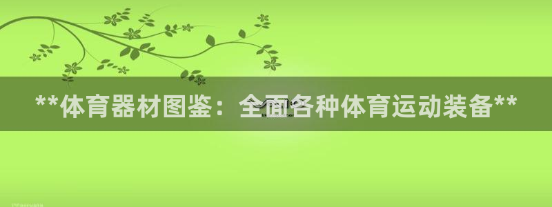 耀世集团视频：**体育器材图鉴：全面各种体育运动装备