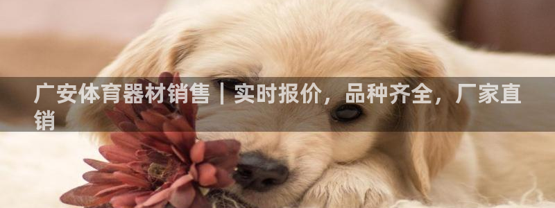 耀世平台代理：广安体育器材销售｜实时报价，品种齐全，